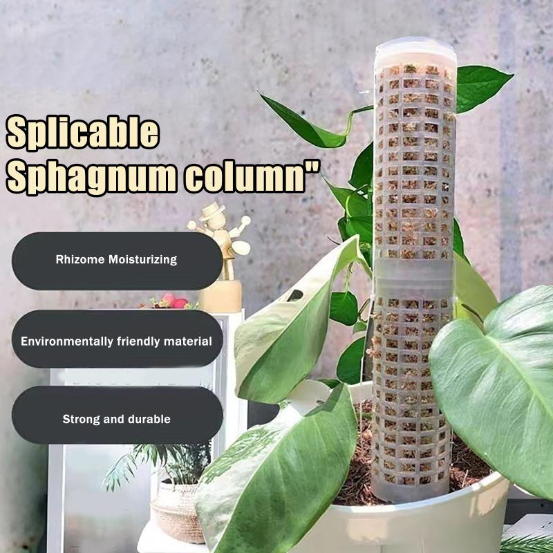 Sphagnum Moss Dry - เสาไม้เลื้อยพลาสติก 6 ชิ้น สำหรับพืชเลื้อยในร่ม ตัวช่วยพยุงต้นไม้ แท่งมอสสำหรับกระถาง
