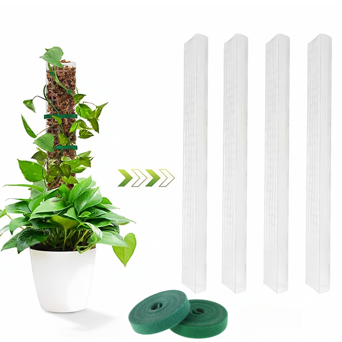 Sphagnum Moss Dry - 2/4/6Pcs MOSS POLE พลาสติกยืนในร่มพืชปีนเขา Guardian Tutors