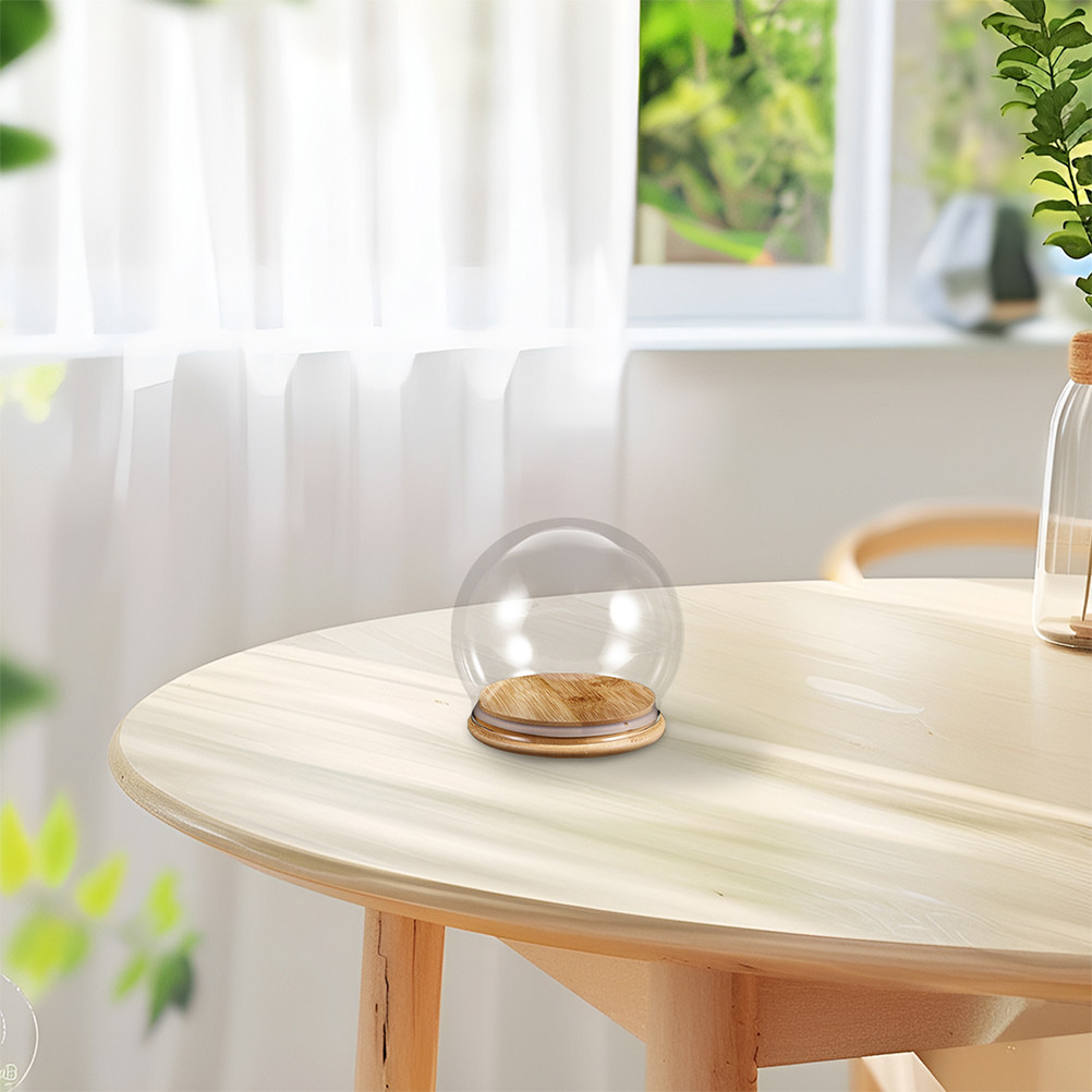 โดมแก้วใส 2 ชิ้น พร้อมฐานไม้ ส - Plastic Dome Clear บทวิจารณ์และราคา