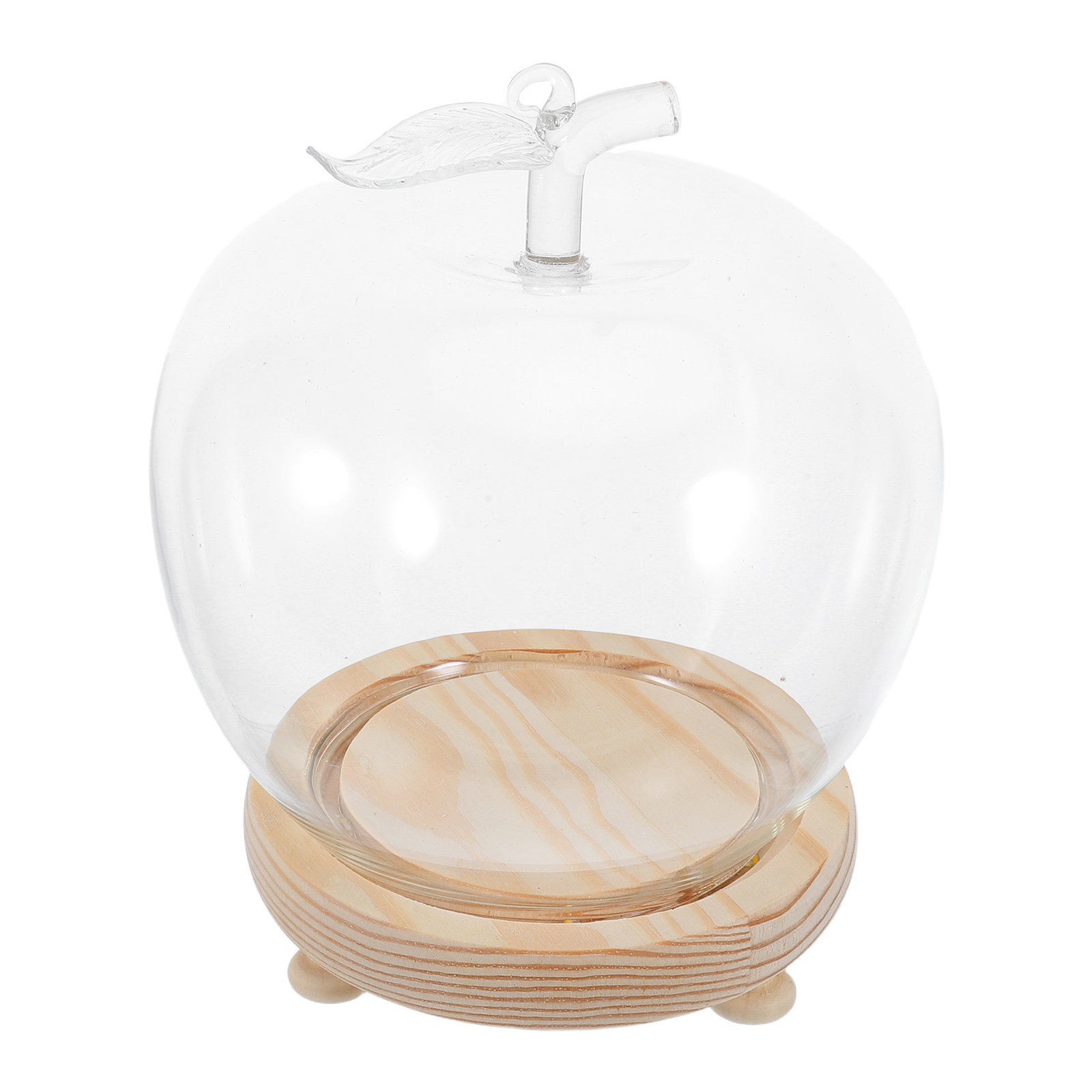 ชุดโดมแก้วทรงระฆังใสสำหรับโชว์ - Plastic Dome Clear บทวิจารณ์และราคา