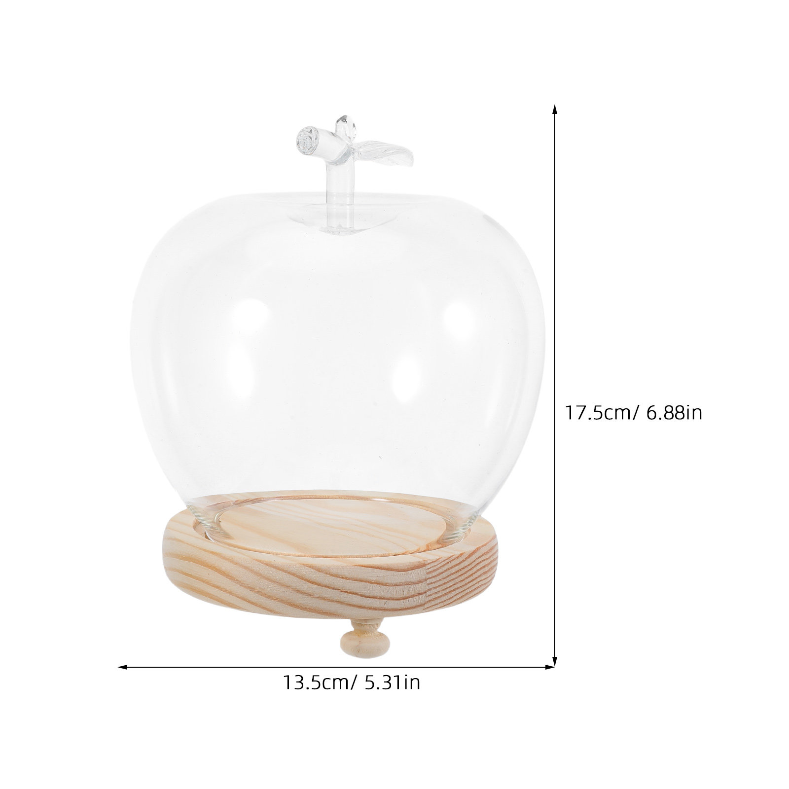 ชุดโดมแก้วทรงระฆังใสสำหรับโชว์ - Plastic Dome Clear บทวิจารณ์และราคา