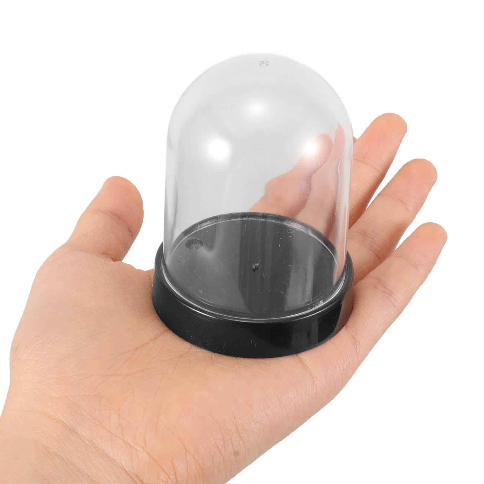 ชุดโดมพลาสติกใส 5 ชิ้น พร้อมฐา - Plastic Dome Clear บทวิจารณ์และราคา