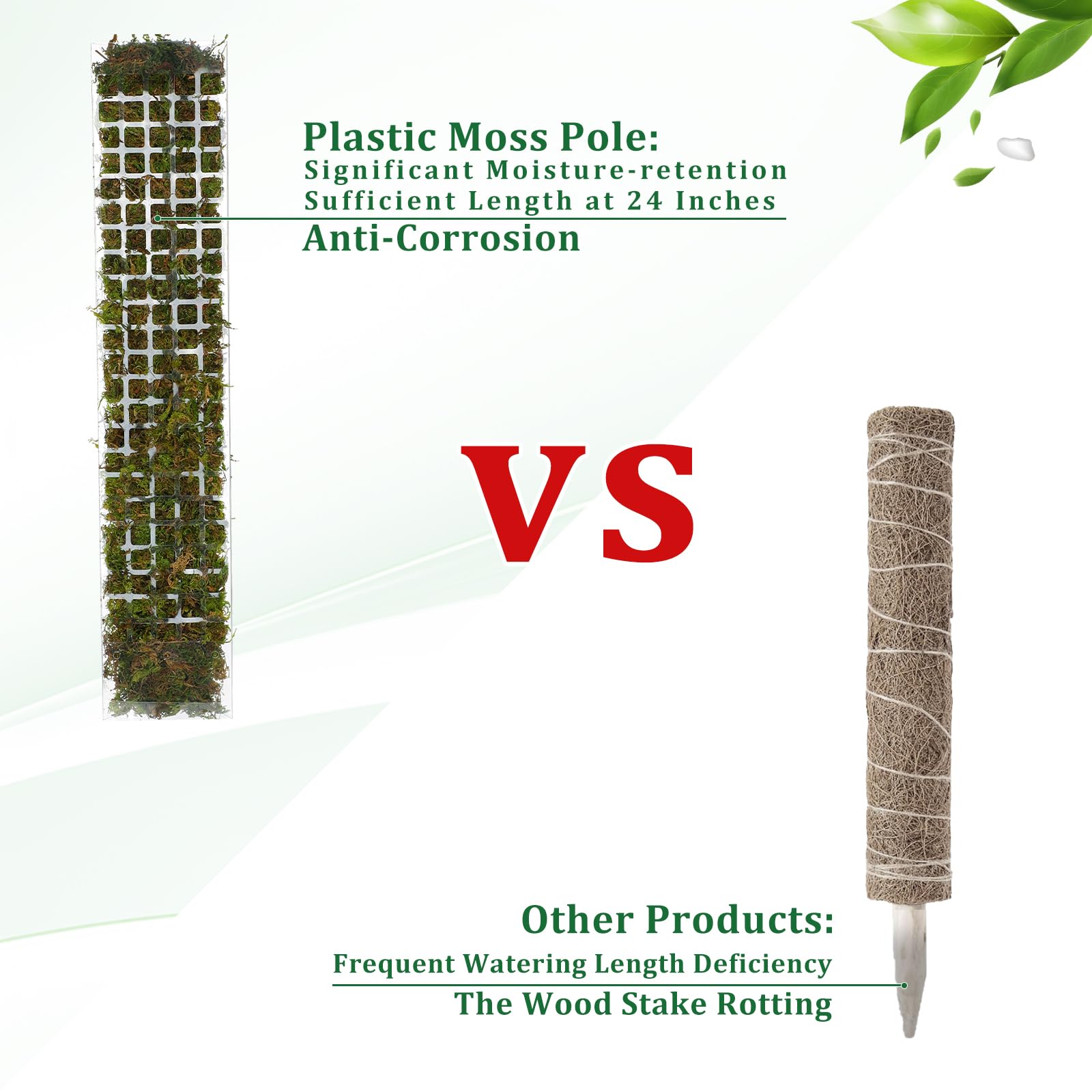 เสาพลาสติกสำหรับยึดต้นไม้ในร่ม - Sphagnum Moss Dry บทวิจารณ์และราคา