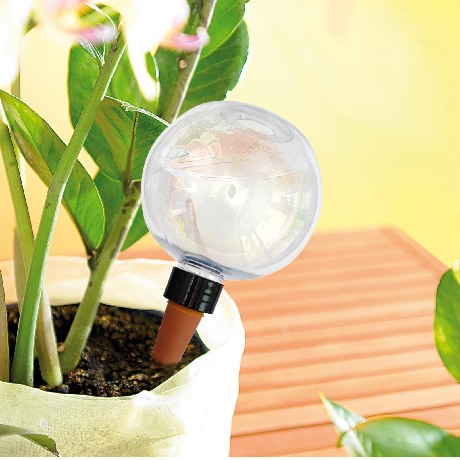 หลอดรดน้ำต้นไม้อัตโนมัติ 500 ม - Self Watering Insert บทวิจารณ์และราคา